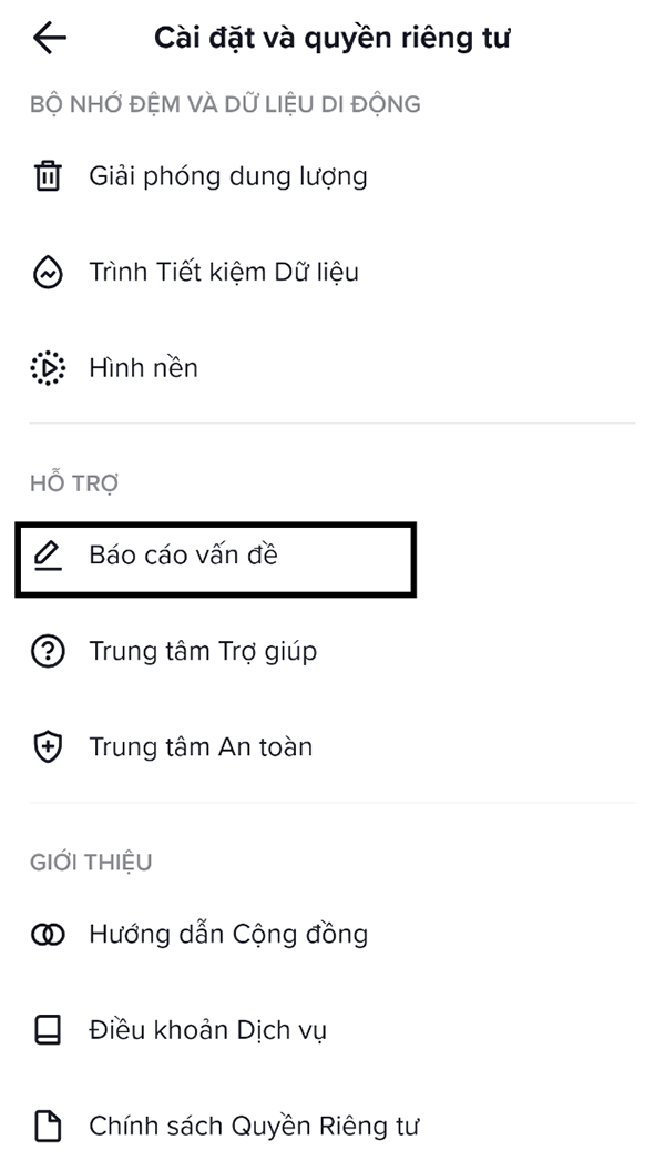 Báo cáo vấn đề